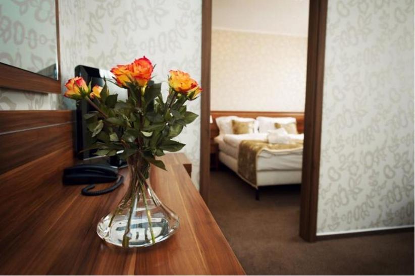 Wellness Hotel Spark Malacky Room photo